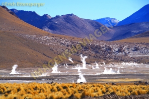 Geyser del Tatio, Atacama, Chile