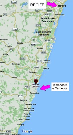 Localização de Tamandaré e Carneiros/Location of Tamandaré and Carneiros.Fonte/source: Google Map