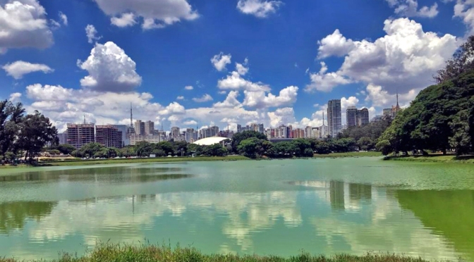 Parque Ibirapuera em São Paulo/Ibirapuera-Park in São Paulo/Ibirapuera Park in São Paulo